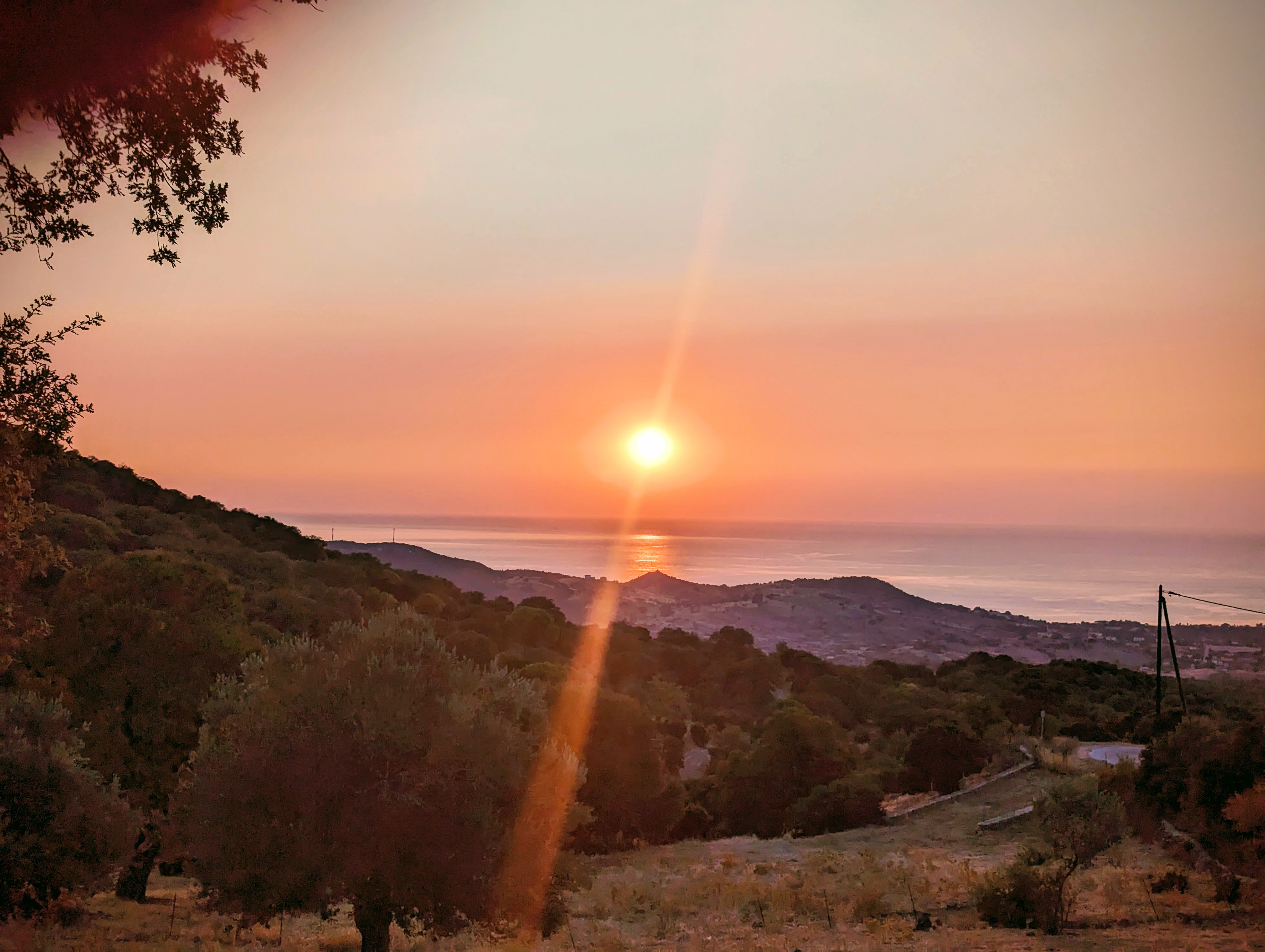 Oleander Apartments — Sonnenuntergang über Olivenhain